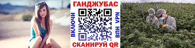 Купить ГАШИШ  КОКАИН  Галлюциногенные грибы  А ПВП  Марихуана  Метамфетамин  Меф мяу мяу  Звенигово