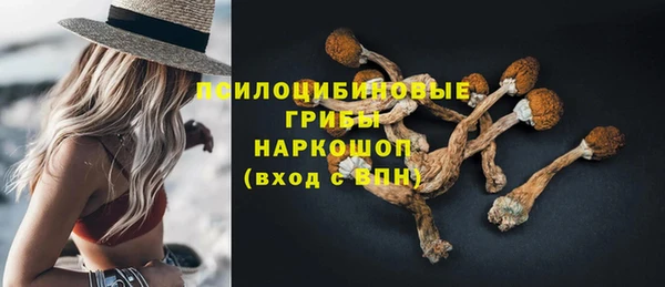 гидропоника Инта