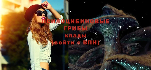 шишки Иннополис