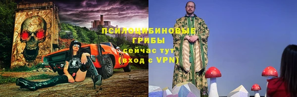шишки Иннополис