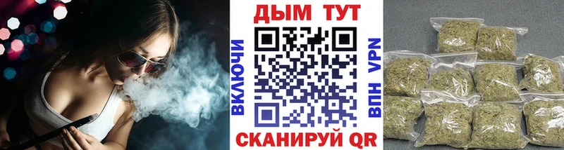 Купить закладки  Звенигово  Конопля AK-47 